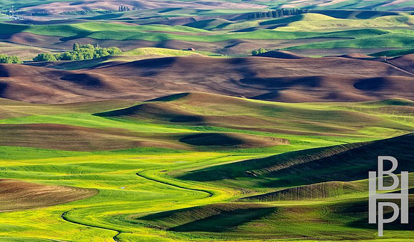 BHP_Steptoe Rolling Hills Texture